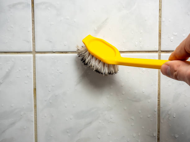 Best Home Mold Removal  in Perry, OH